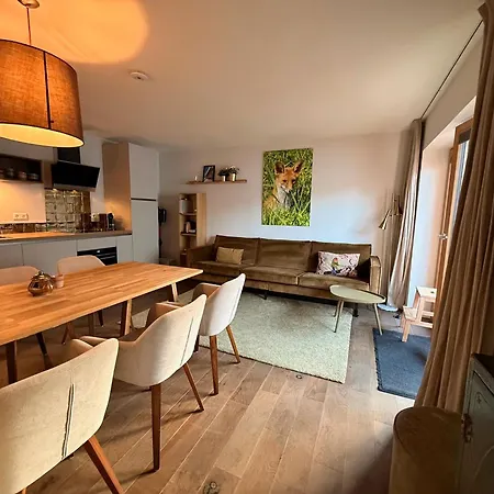 Apartamento Chic Lodge-apartments Ehrwald