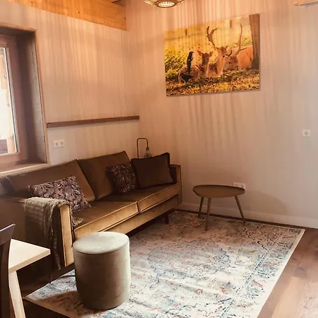 Chic Lodge-apartments شقة ايروالد